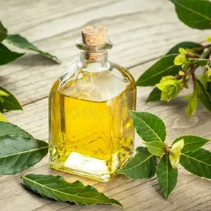 Bay Oil